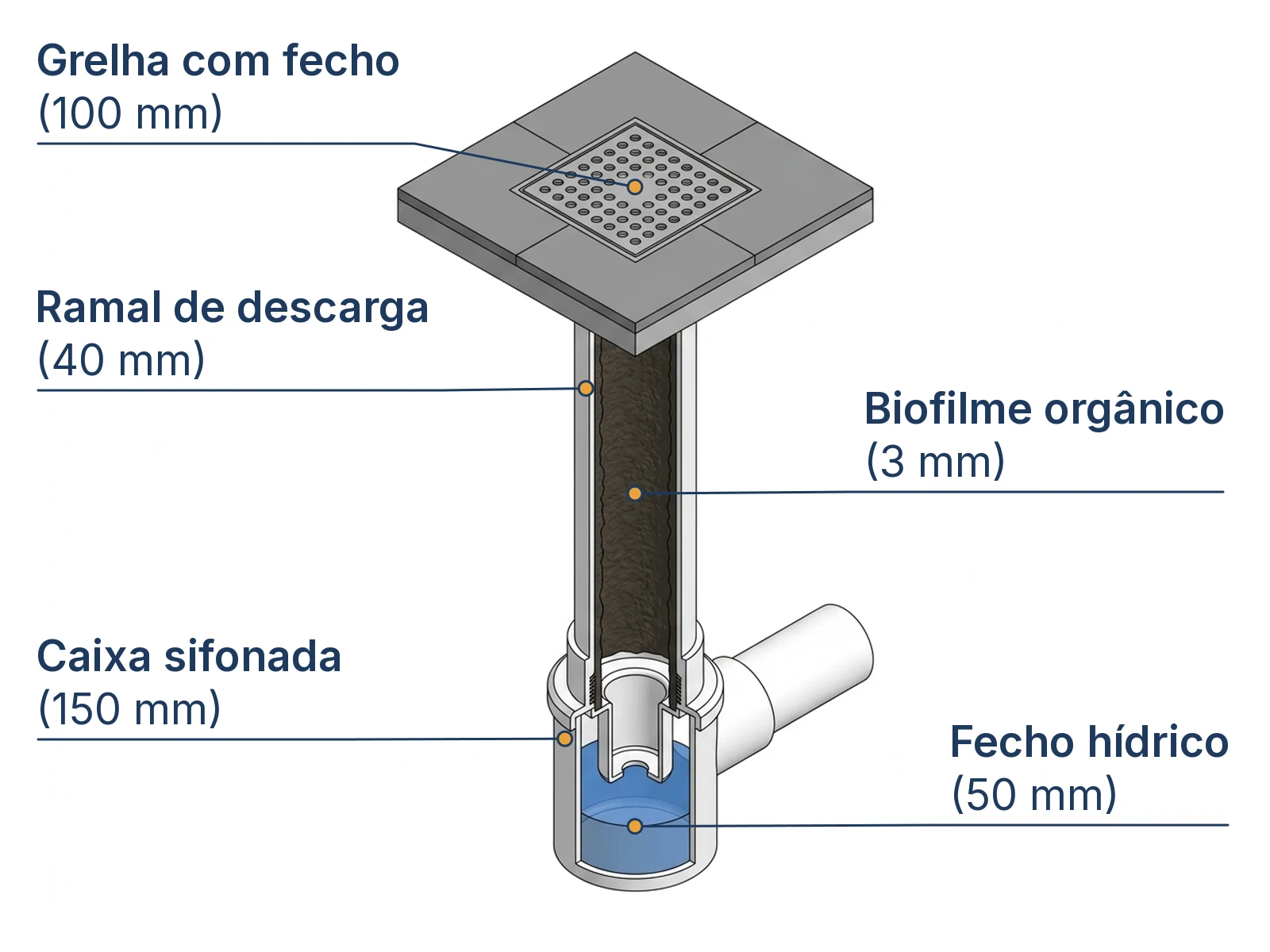 Corte isométrico dos 5 componentes do ralo e caixa sifonada de banheiro com pontos de foco da mosquinha
